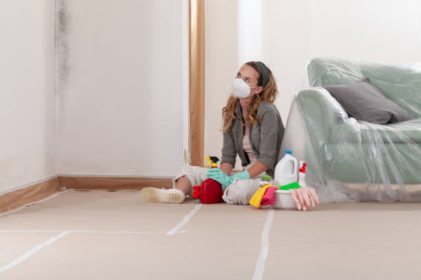Reliable Commercial Mold Remediation contractor in Centre Hall, PA by WQB Mold Removal
